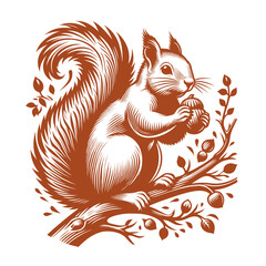Squirrel vector, squirrel logo