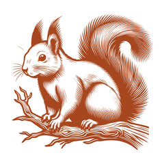Squirrel vector, squirrel logo