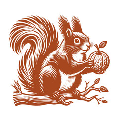 Squirrel vector, squirrel logo