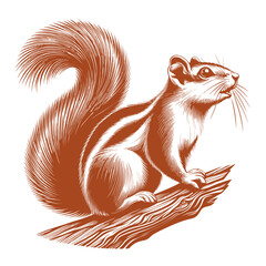 Squirrel vector, squirrel logo