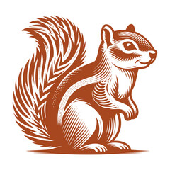 Squirrel vector, squirrel logo