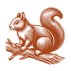 Squirrel vector, squirrel logo