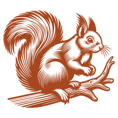 Squirrel vector, squirrel logo