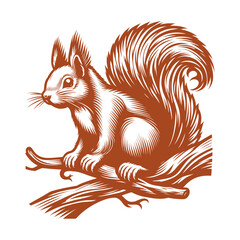 Squirrel vector, squirrel logo