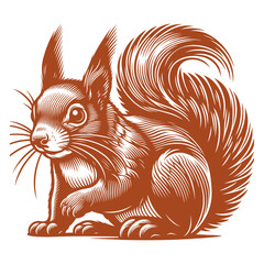 Squirrel vector, squirrel logo