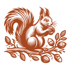 Obraz premium Squirrel vector, squirrel logo