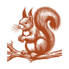 Squirrel vector, squirrel logo