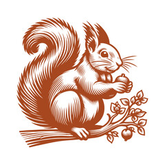 Squirrel vector, squirrel logo