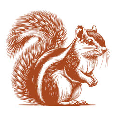 Squirrel vector, squirrel logo