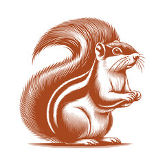 Squirrel vector, squirrel logo