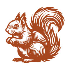 Squirrel vector, squirrel logo