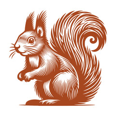 Squirrel vector, squirrel logo