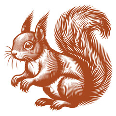 Squirrel vector, squirrel logo