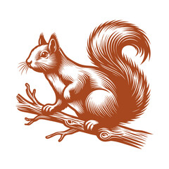 Squirrel vector, squirrel logo