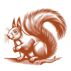 Squirrel vector, squirrel logo