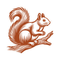Squirrel vector, squirrel logo