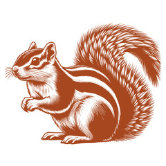Squirrel vector, squirrel logo
