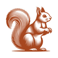 Squirrel vector, squirrel logo