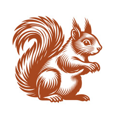 Squirrel vector, squirrel logo