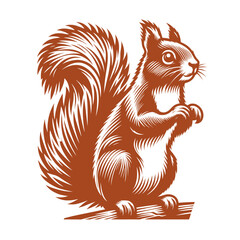 Squirrel vector, squirrel logo