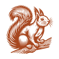 Squirrel vector, squirrel logo