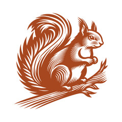 Squirrel vector, squirrel logo