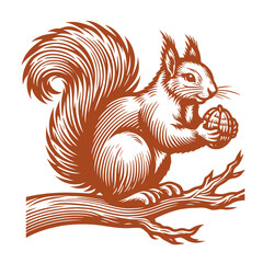 Squirrel vector, squirrel logo
