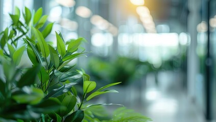 Naklejka premium Closeup of Green Plant Leaves With a Blurred Modern Office Background