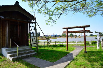 三条市の万葉の藤（新潟県）