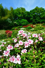 さつき山公園（新潟県）