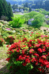 さつき山公園（新潟県）