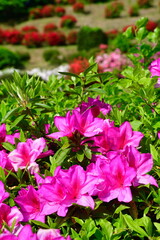 さつき山公園（新潟県）