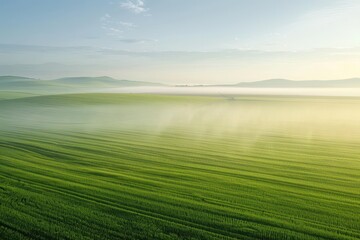 Obraz premium Toxic Smog Blanketing Agricultural Fields from Pesticide Spraying | Pollution in Farming Area