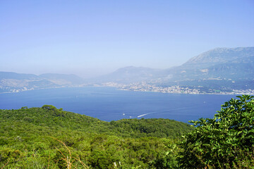 Green forests of the Lustica peninsula, blue Adriatic Sea and the city of Herceg Novi built at the foot of Mount Orjen. Bay of Kotor, Montenegro - a bright summer landscape from the Klinci viewpoint