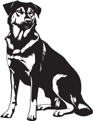 black and white huntaway dog monochrome illustration