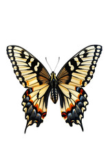 Butterfly in mid-flap on pure white background, showcasing vibrant colors and intricate wing patterns.