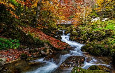 Autumn river waterfall in autumn forest