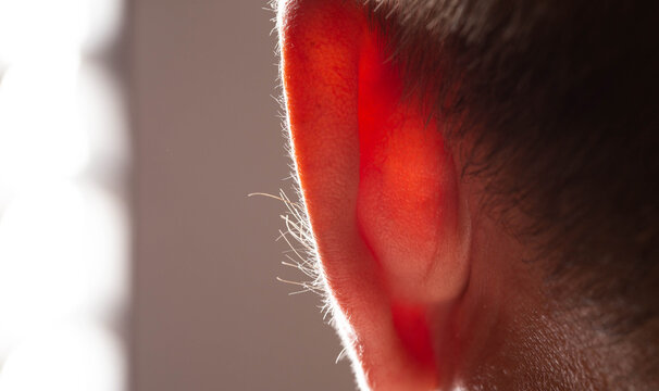 Growing hair on a man's ears, dermatology. Concept of laser hair removal on ears, macro. Copy space for text