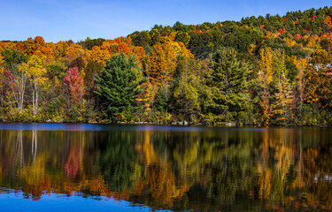 Autumn forest lake. autumn trees reflected in water