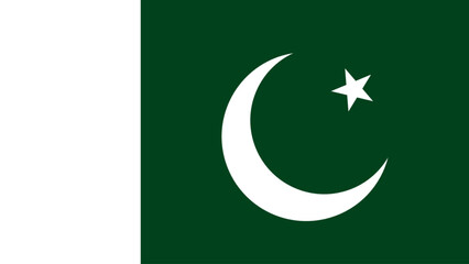 Pakistan flag. The official pakistan flag. Flag icon. Computer illustration. Digital illustration. Vector illustration.
