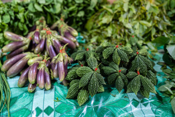 Fresh vegetables, eggplant, bitter melon, and health concepts are on the table.