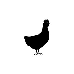 Chicken icon Image  isolated on white background