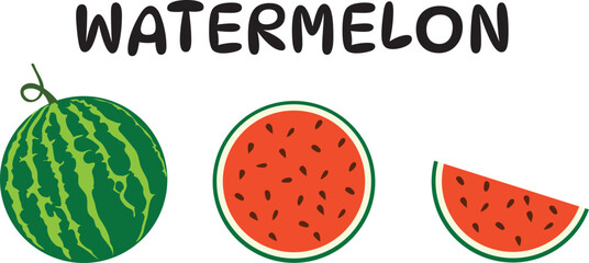 Watermelon vector. Watermelon on white background. wallpaper. free space for text.