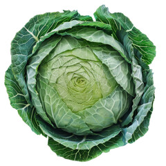 Fototapeta premium Cabbage circle portion. PNG element isolated on transparent background.
