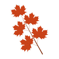 Branch with red autumn maple leaves isolated on transparent and white background. Close-up element for design decoration. Vector cartoon illustration. Seasons and leaf fall.