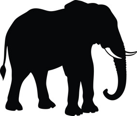 Fototapeta premium Elephant silhouette isolated on white