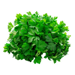 Obraz premium Parsley. PNG element isolated on transparent background.
