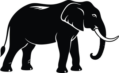 Elephant silhouette isolated on white