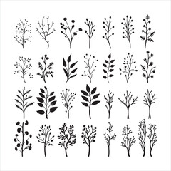 Black silhouette set of hand drawn tree branches with leaves botanical flowers floral hand drawn scandinavian style art  silhouette on a white background
