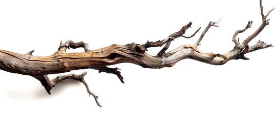 Isolated gnarled tree branch, gracefully arching against vivid white background, soft natural light highlights intricate textures and knots, evokes calm, timelessness,...